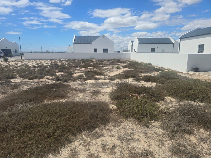 Discover Your Coastal Paradise!  Build your dream Coastal Home! - Photo 10