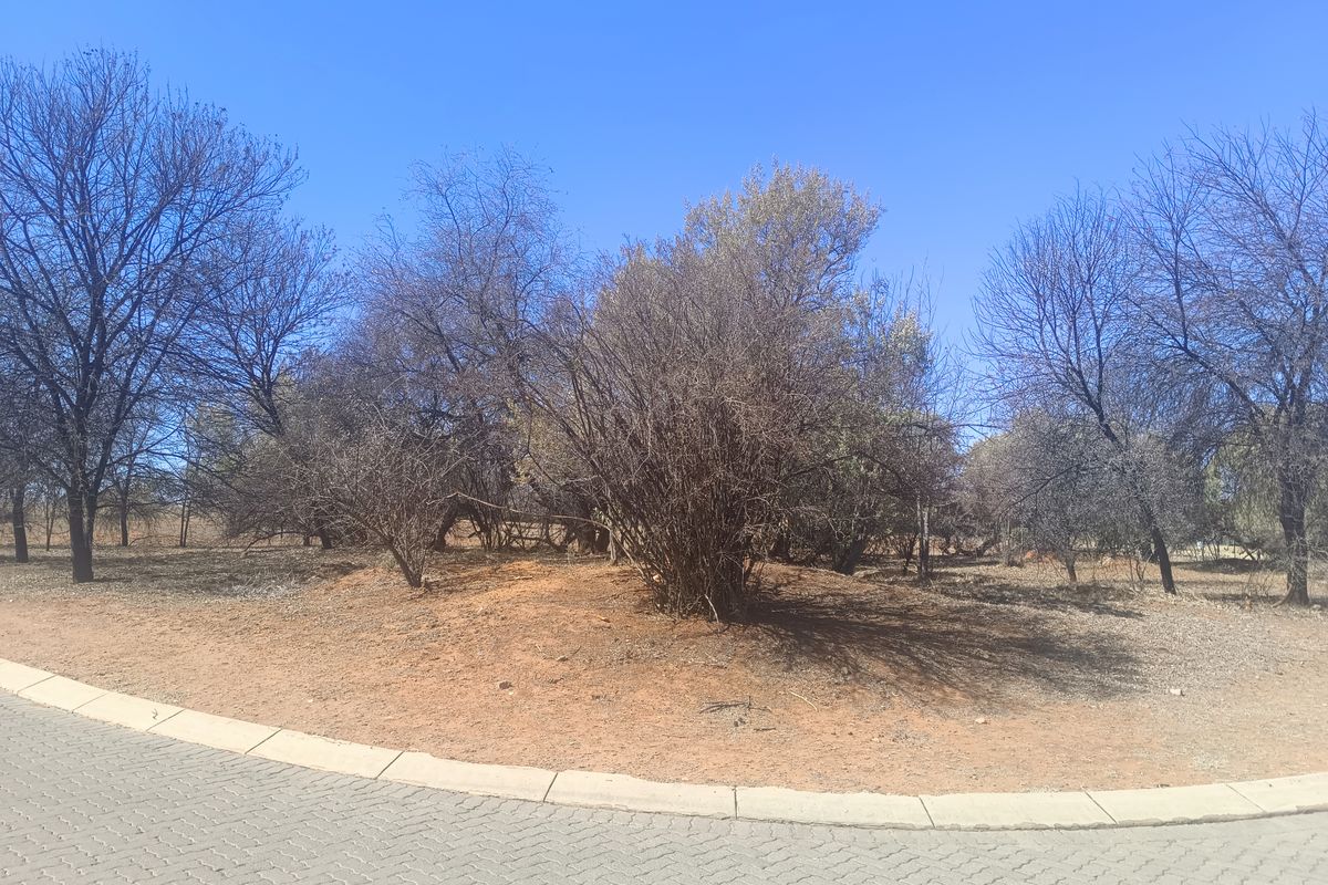 A view of a vacant residential plot featuring natural vegetation, mature trees, and a paved driveway edge with concrete curbing.