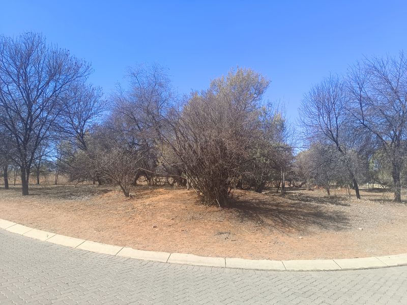 A view of a vacant residential plot featuring natural vegetation, mature trees, and a paved driveway edge with concrete curbing.