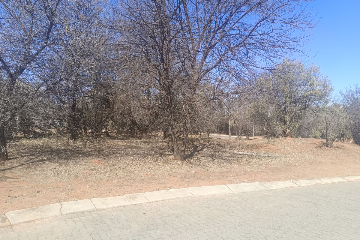 A view of a vacant residential plot featuring established indigenous trees and direct access to a paved street.