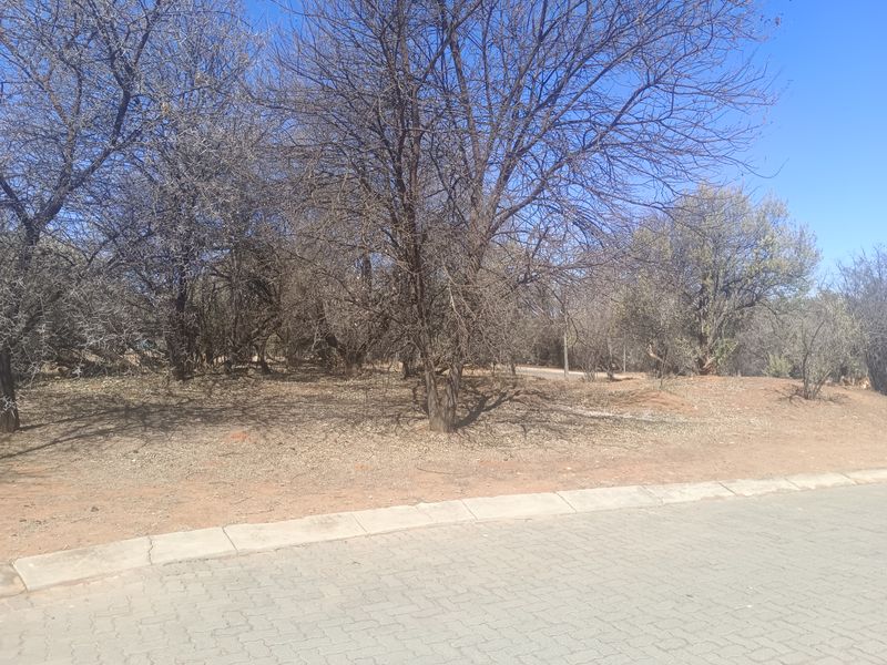 A view of a vacant residential plot featuring established indigenous trees and direct access to a paved street.