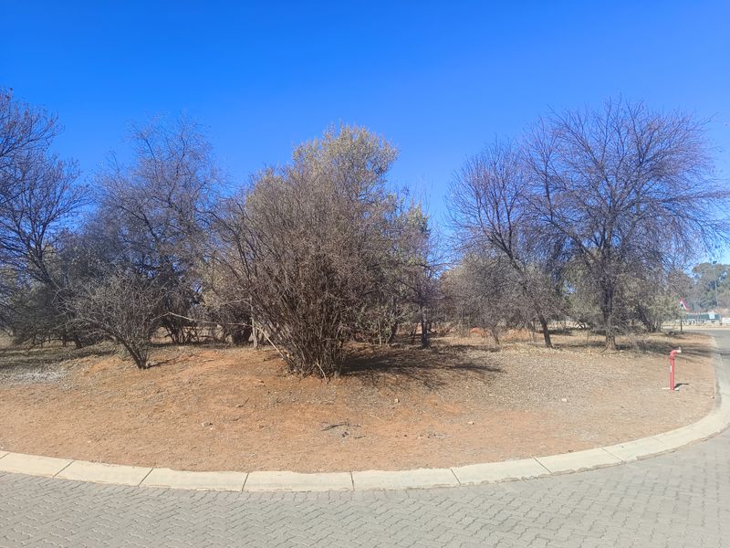 A vacant residential plot featuring established trees, a paved driveway edge, and a fire hydrant, offering a clear view of the undeveloped land.