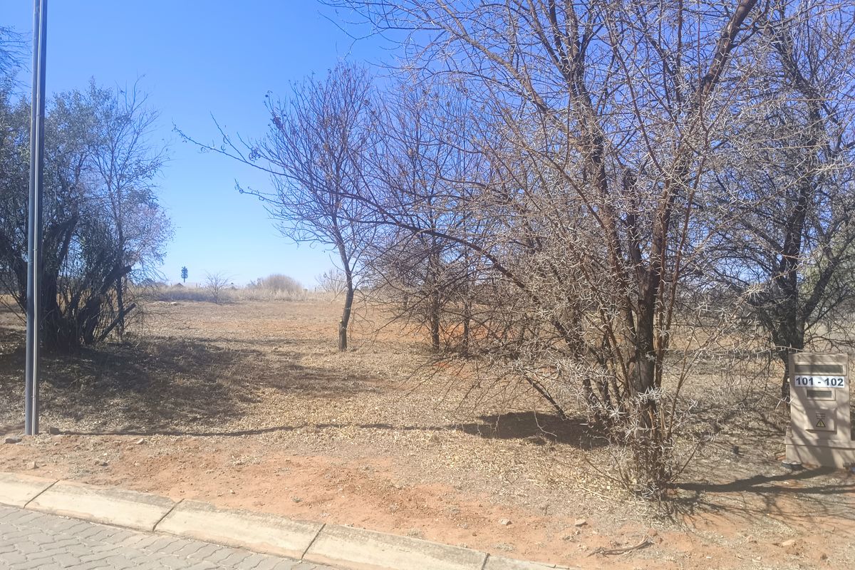 A vacant residential plot featuring natural vegetation, a paved curb, and a utility connection box at the street frontage.