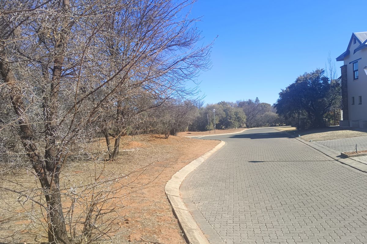 A view of the paved street and driveway approach within the residential estate, featuring established trees and clear access to the property.