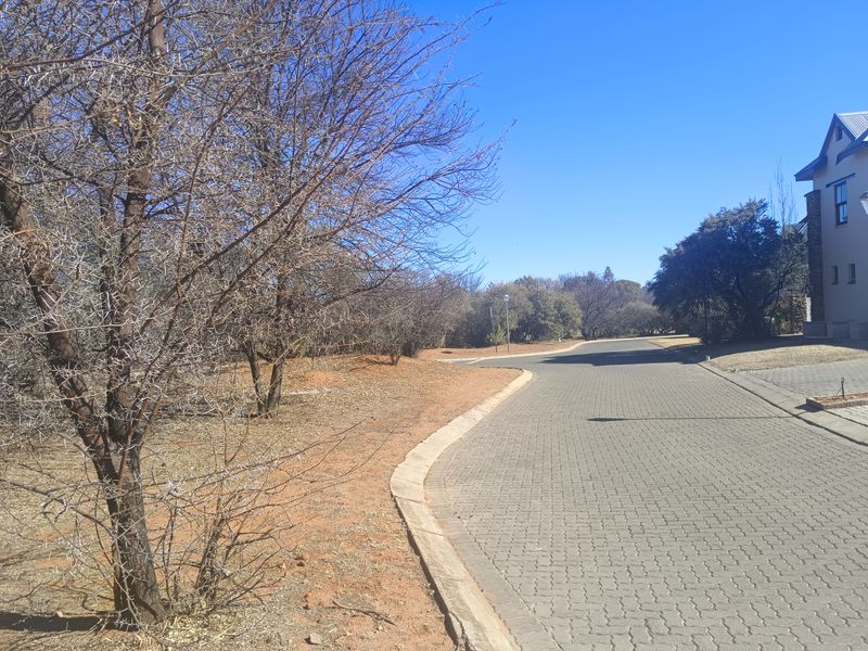 A view of the paved street and driveway approach within the residential estate, featuring established trees and clear access to the property.