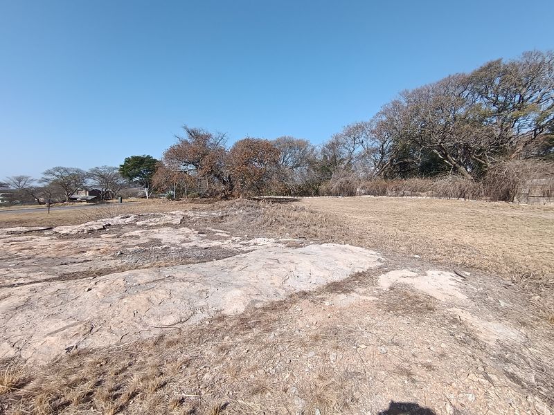 A view of a vacant residential plot featuring natural rocky terrain, established trees, and open grassland.