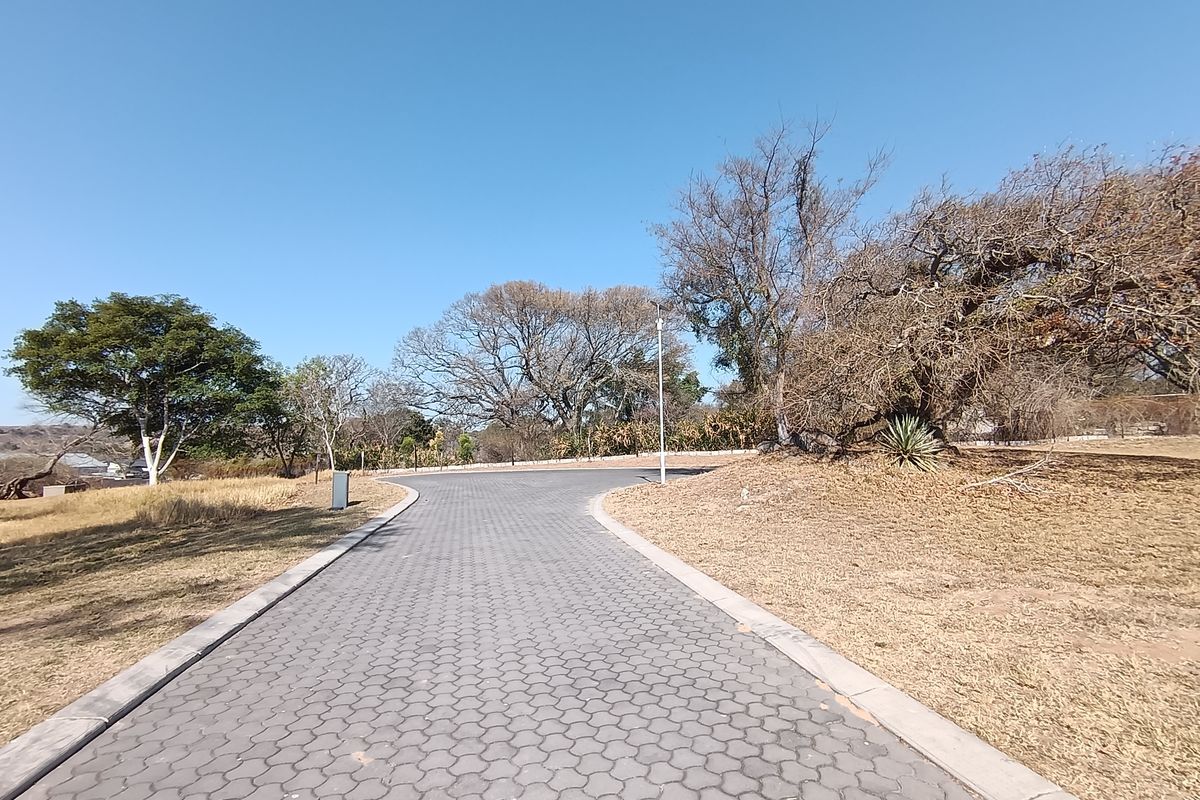 A paved driveway leading through a residential area with mature trees and established landscaping.