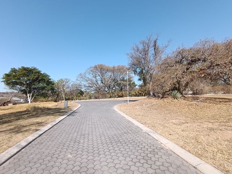 A paved driveway leading through a residential area with mature trees and established landscaping.