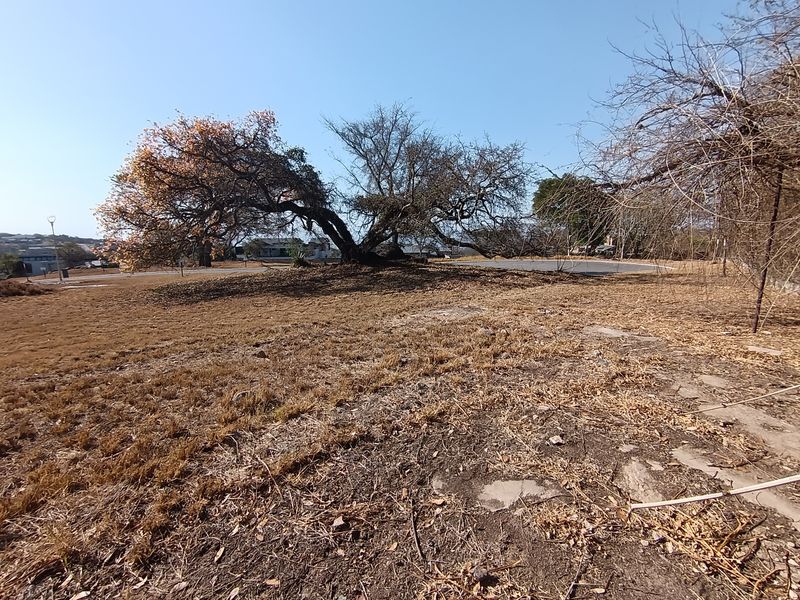 A view of a vacant residential plot featuring mature trees and dry vegetation, suitable for future development.