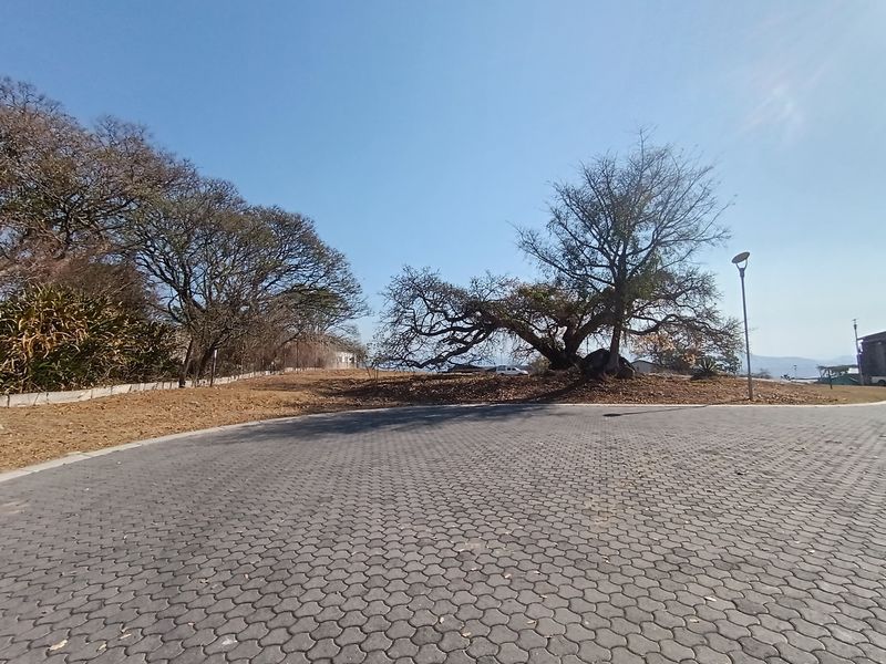 A view of a vacant residential plot featuring a paved driveway and mature trees, offering a clear space for potential development.