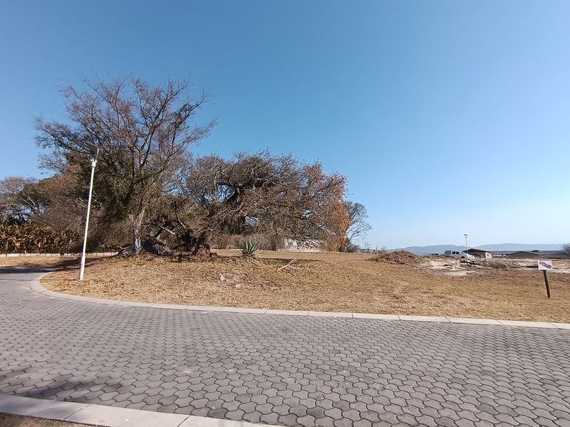 A vacant residential plot featuring a paved driveway, mature trees, and open land, ready for development.