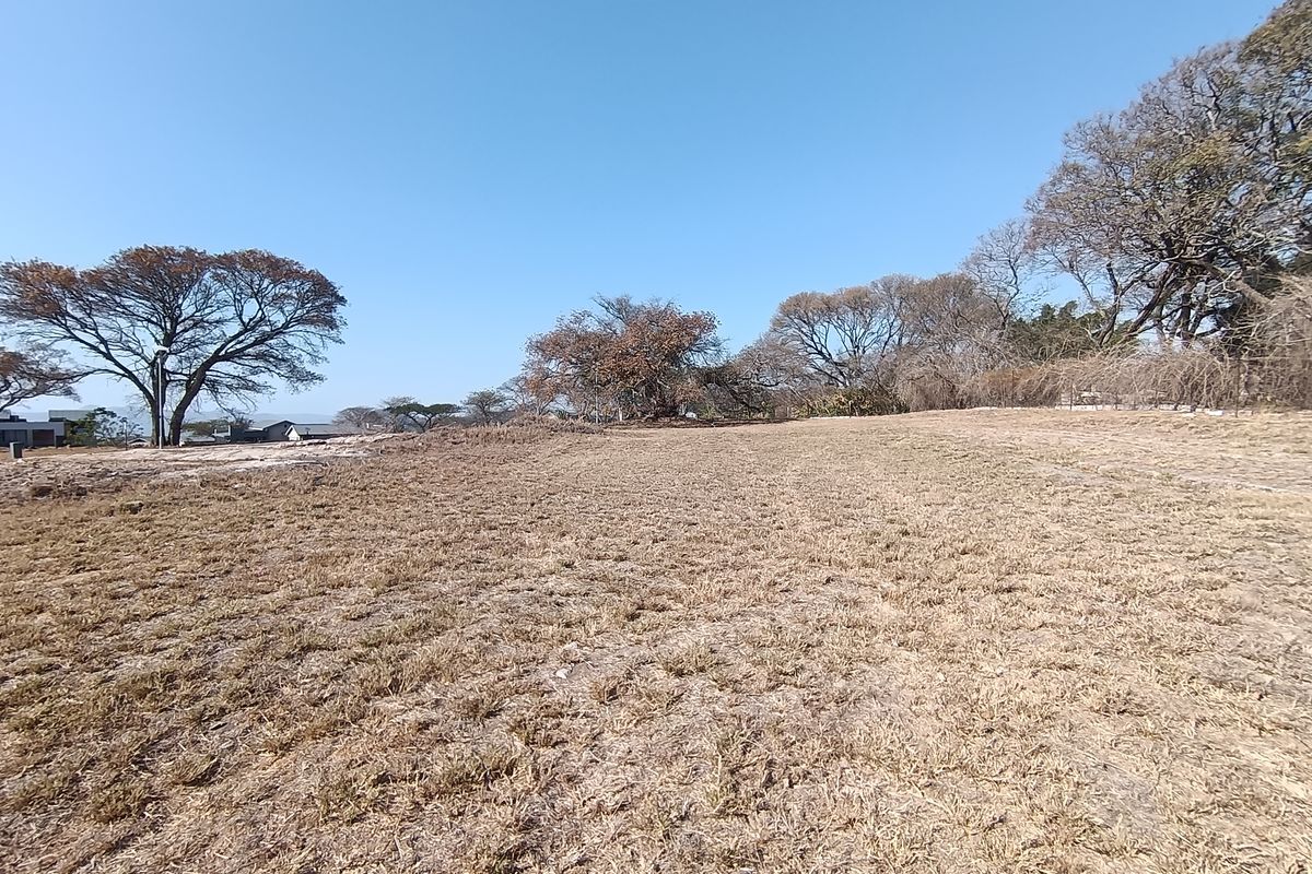 A wide-angle view of a vacant residential plot featuring dry grass and mature trees under a clear blue sky.
