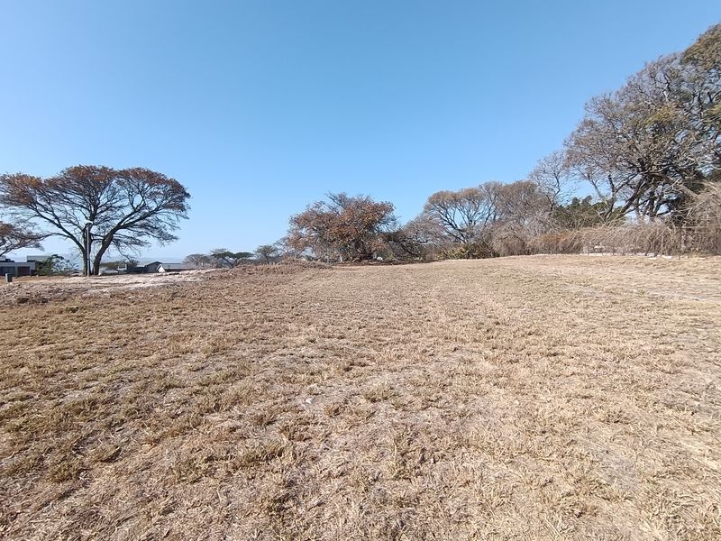 A wide-angle view of a vacant residential plot featuring dry grass and mature trees under a clear blue sky.