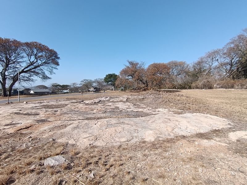 A vacant residential plot featuring natural rocky terrain and mature trees, offering a clear view of the surrounding neighborhood and street access.