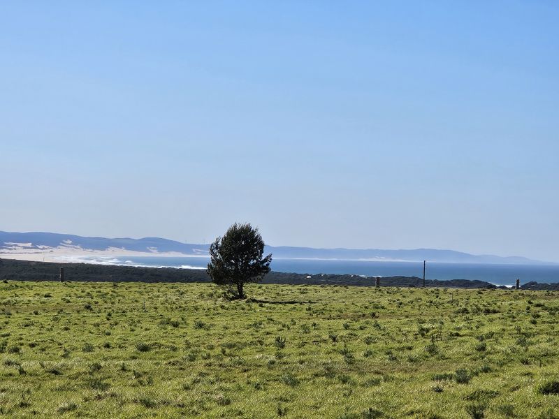 A scenic view of the coastal landscape featuring open grassy terrain with distant ocean and dune vistas.