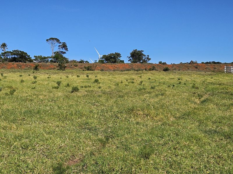 A view of an open, grassy residential plot featuring natural landscaping and perimeter fencing under a clear blue sky.