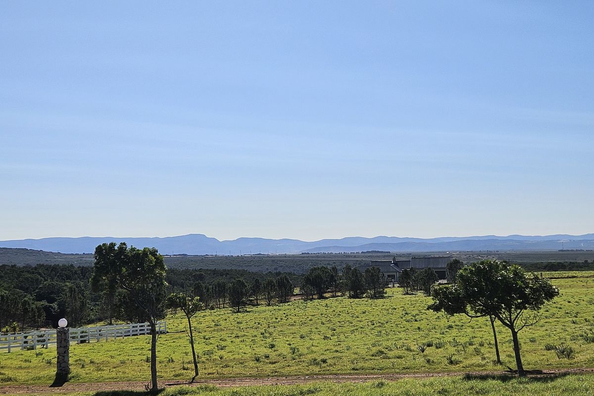 A scenic view of the expansive residential land featuring rolling green hills, mature trees, and distant mountain ranges under a clear blue sky.
