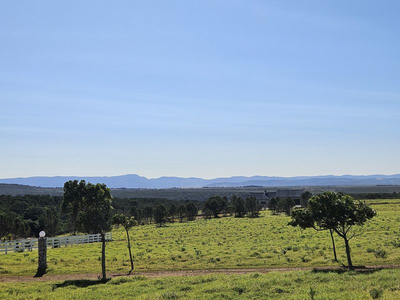 A scenic view of the expansive residential land featuring rolling green hills, mature trees, and distant mountain ranges under a clear blue sky.
