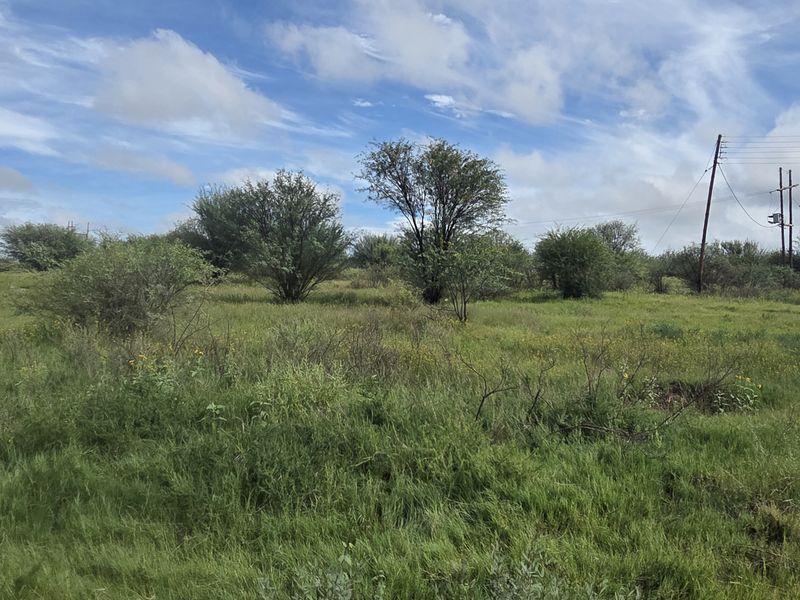 A view of a vacant residential plot featuring natural vegetation and existing utility infrastructure.