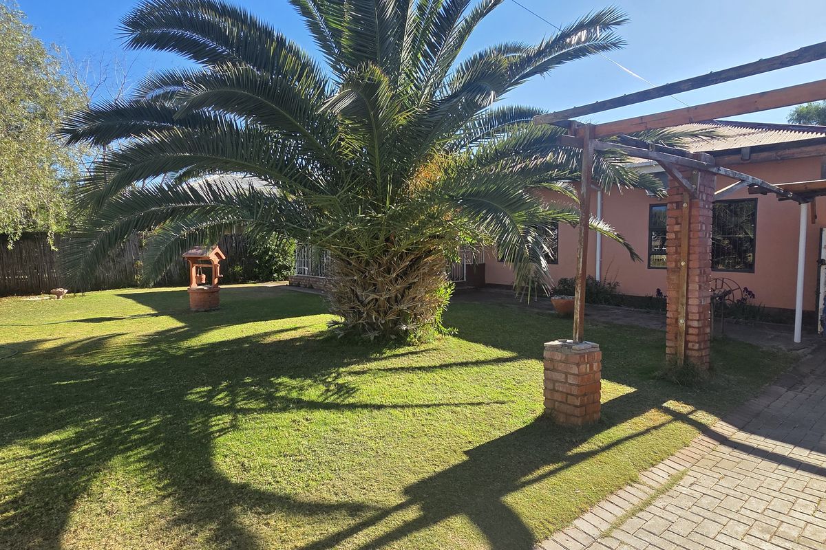 Spacious rear garden featuring a large palm tree, paved driveway area, and a brick-supported pergola structure.