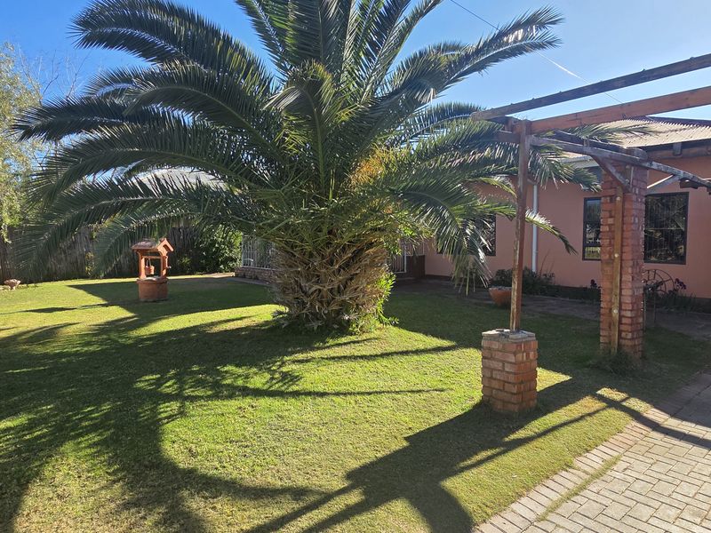 Spacious rear garden featuring a large palm tree, paved driveway area, and a brick-supported pergola structure.