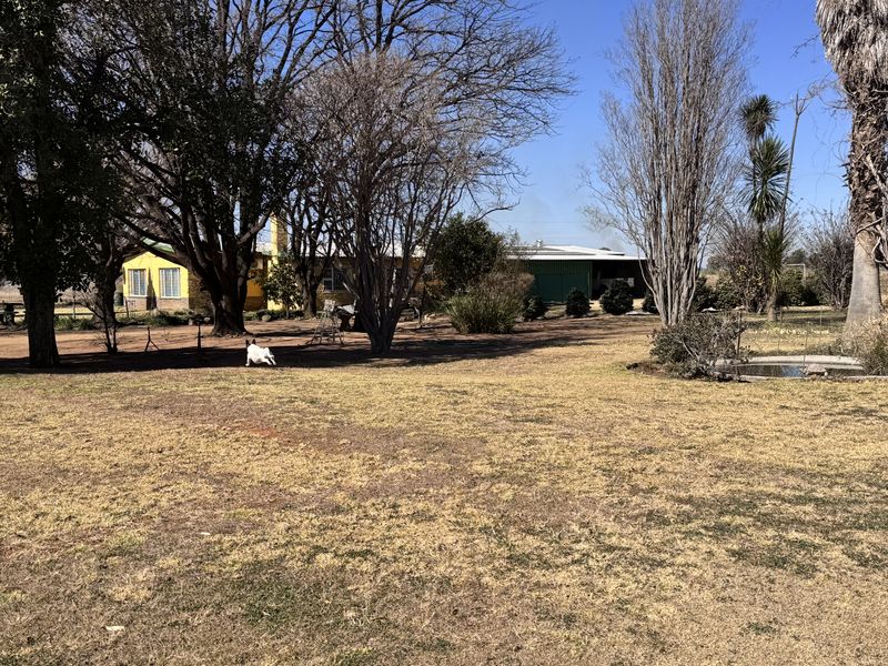 Spacious garden area featuring mature trees and a small ornamental pond, with views toward the main dwelling and outbuildings on the small holding.