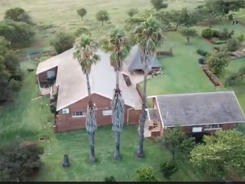 Aerial view of a farm property featuring a brick dwelling with a metal roof, surrounded by established palm trees and expansive garden grounds.