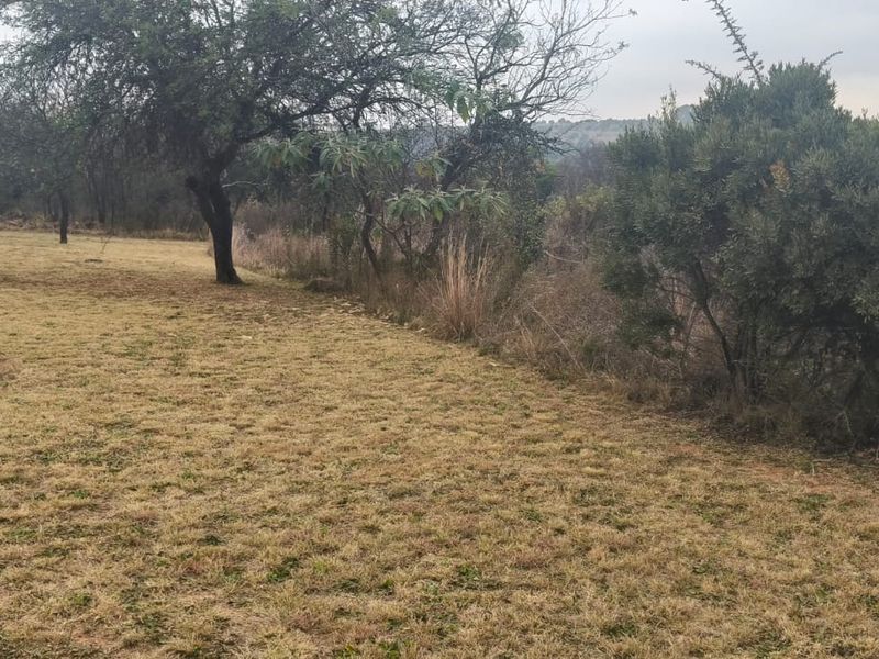 A view of the expansive farm garden featuring established trees and natural vegetation, offering a peaceful and open outdoor space.