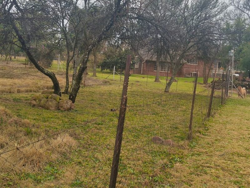 A view of the farm garden featuring mature trees and wire perimeter fencing surrounding the property grounds.