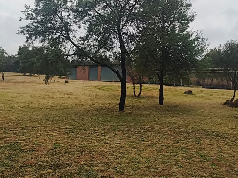 Expansive open farm grounds featuring mature trees and natural rock landscaping, providing a spacious outdoor setting.