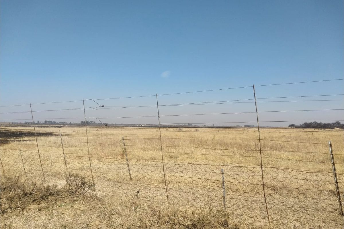 An expansive open field on a small holding, enclosed by wire mesh fencing under a clear blue sky.