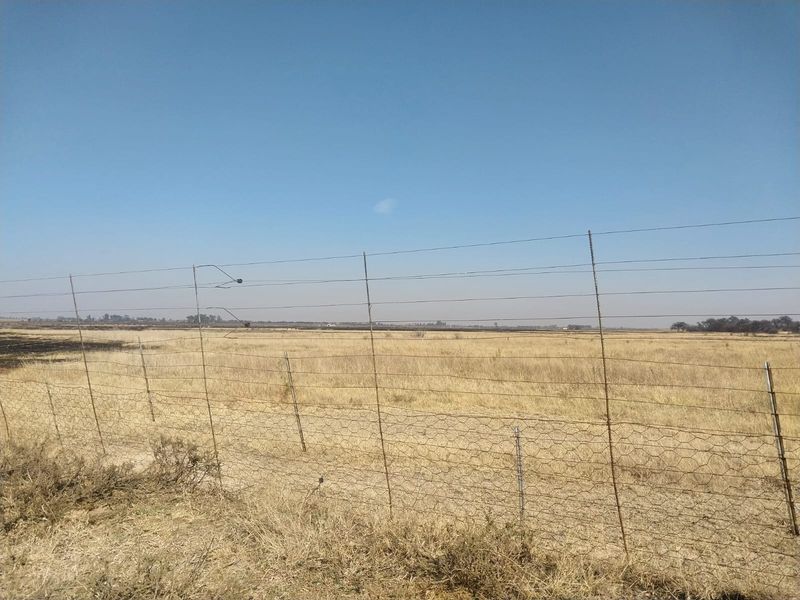 An expansive open field on a small holding, enclosed by wire mesh fencing under a clear blue sky.