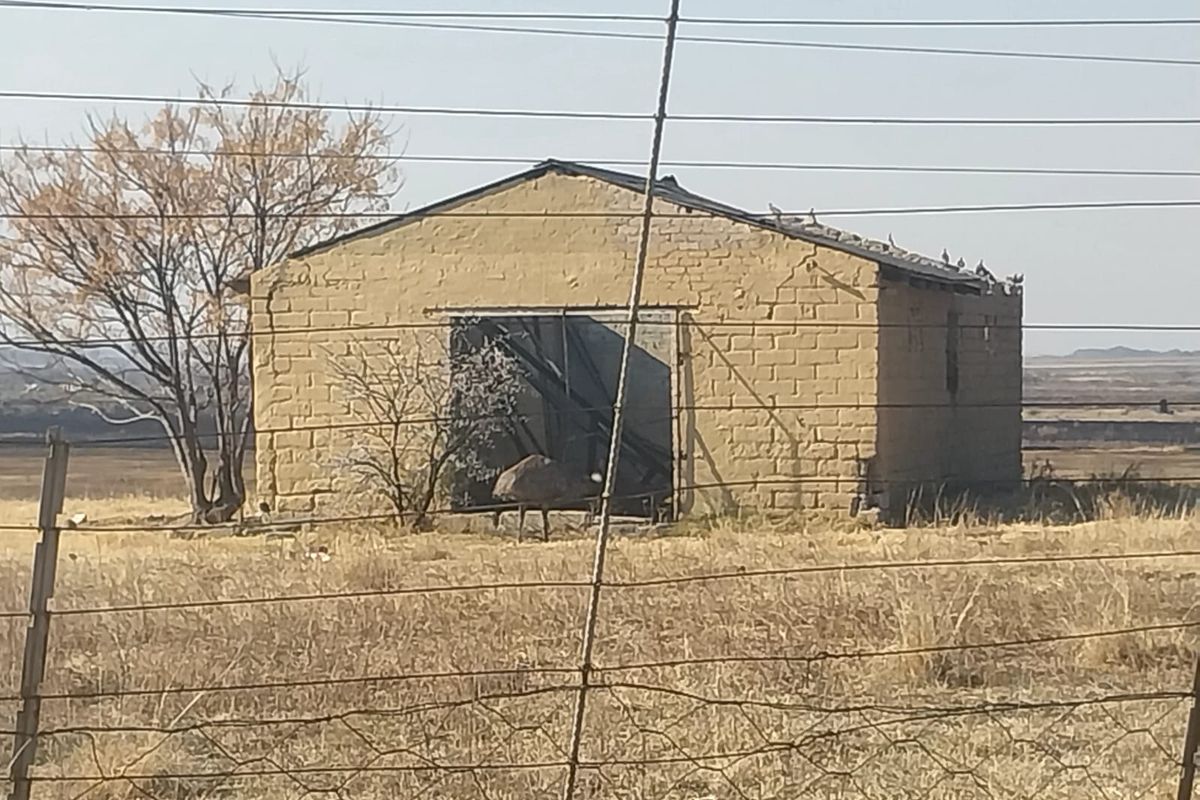 A detached brick utility building or barn structure located on a small holding, showing signs of significant wear and requiring maintenance.