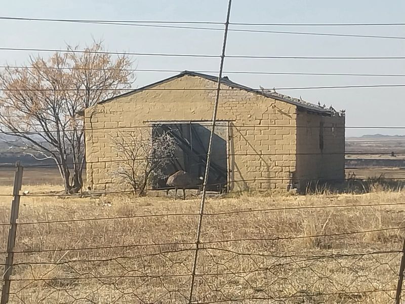 A detached brick utility building or barn structure located on a small holding, showing signs of significant wear and requiring maintenance.