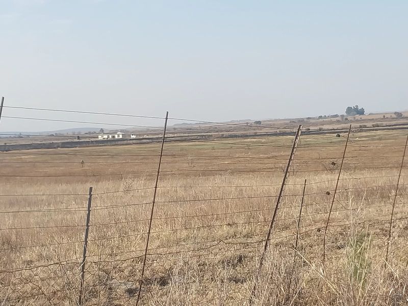 A wide-angle view of the open landscape and surrounding fields, featuring perimeter wire fencing and a distant boundary wall.