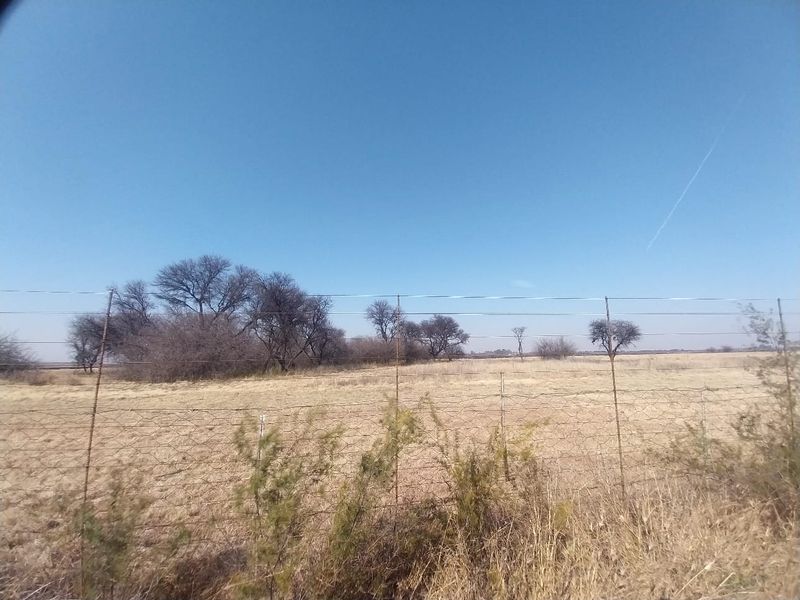 A view of the open land and natural vegetation on the small holding, enclosed by wire mesh fencing.