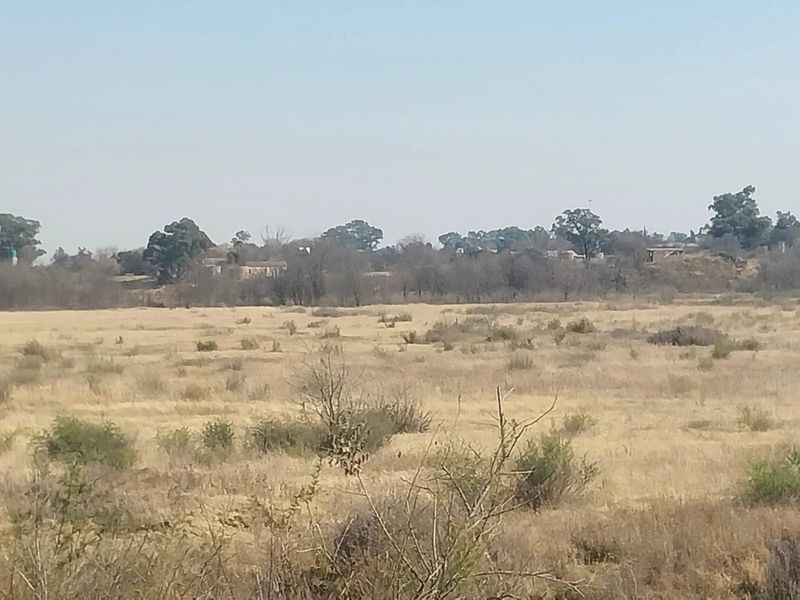 A wide-angle view of the open landscape and surrounding vegetation on the small holding property.