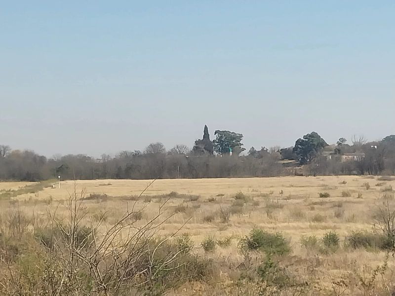 A wide-angle view of the open landscape and natural vegetation surrounding the small holding property.