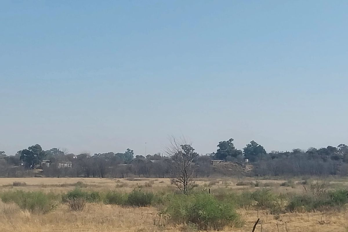 A wide-angle view of the open landscape and surrounding vegetation on the small holding property.