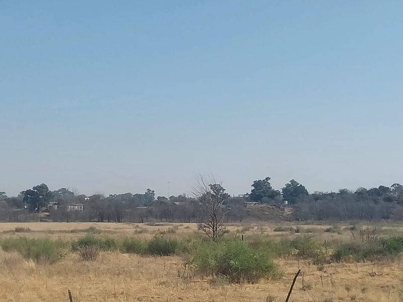 A wide-angle view of the open landscape and surrounding vegetation on the small holding property.