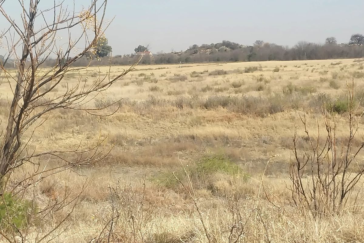 A wide-angle view of the open veld landscape on the small holding, featuring dry natural vegetation and distant rocky outcrops.