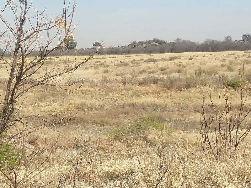 A wide-angle view of the open veld landscape on the small holding, featuring dry natural vegetation and distant rocky outcrops.