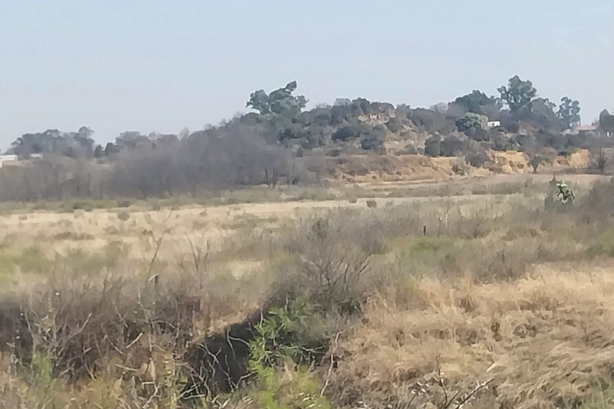 A wide-angle view of the natural landscape and surrounding terrain on the small holding property.
