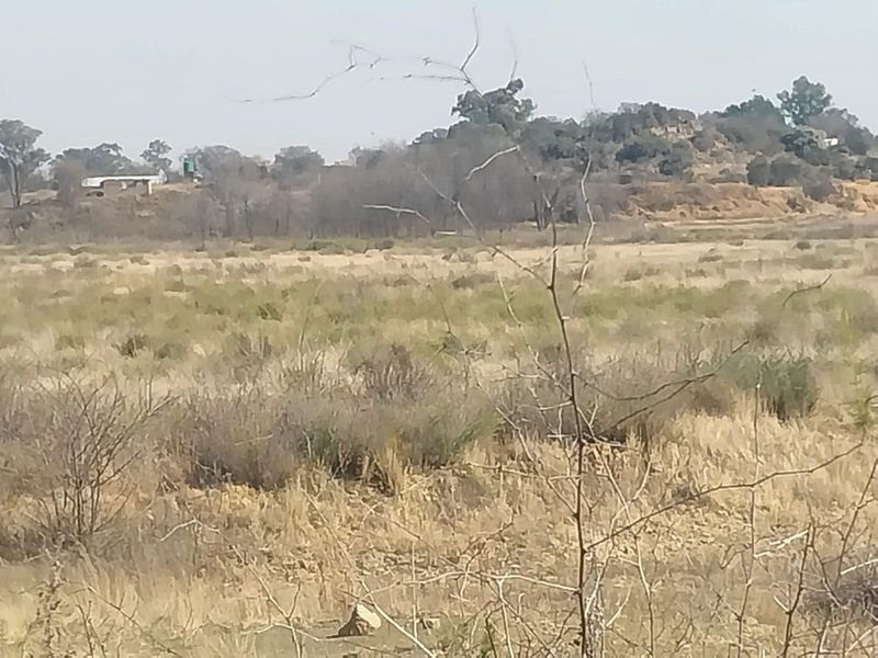A wide-angle view of the open natural landscape and veld surrounding the small holding property.