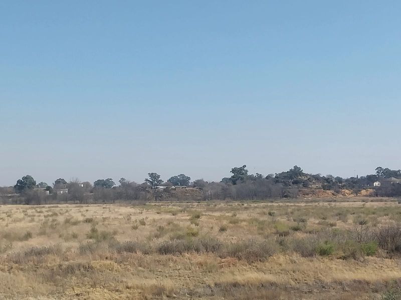 A wide-angle view of the surrounding landscape and natural vegetation on the small holding.