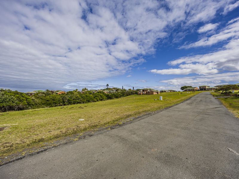 A view of the asphalt street and surrounding residential landscape in a vacant land residential area.