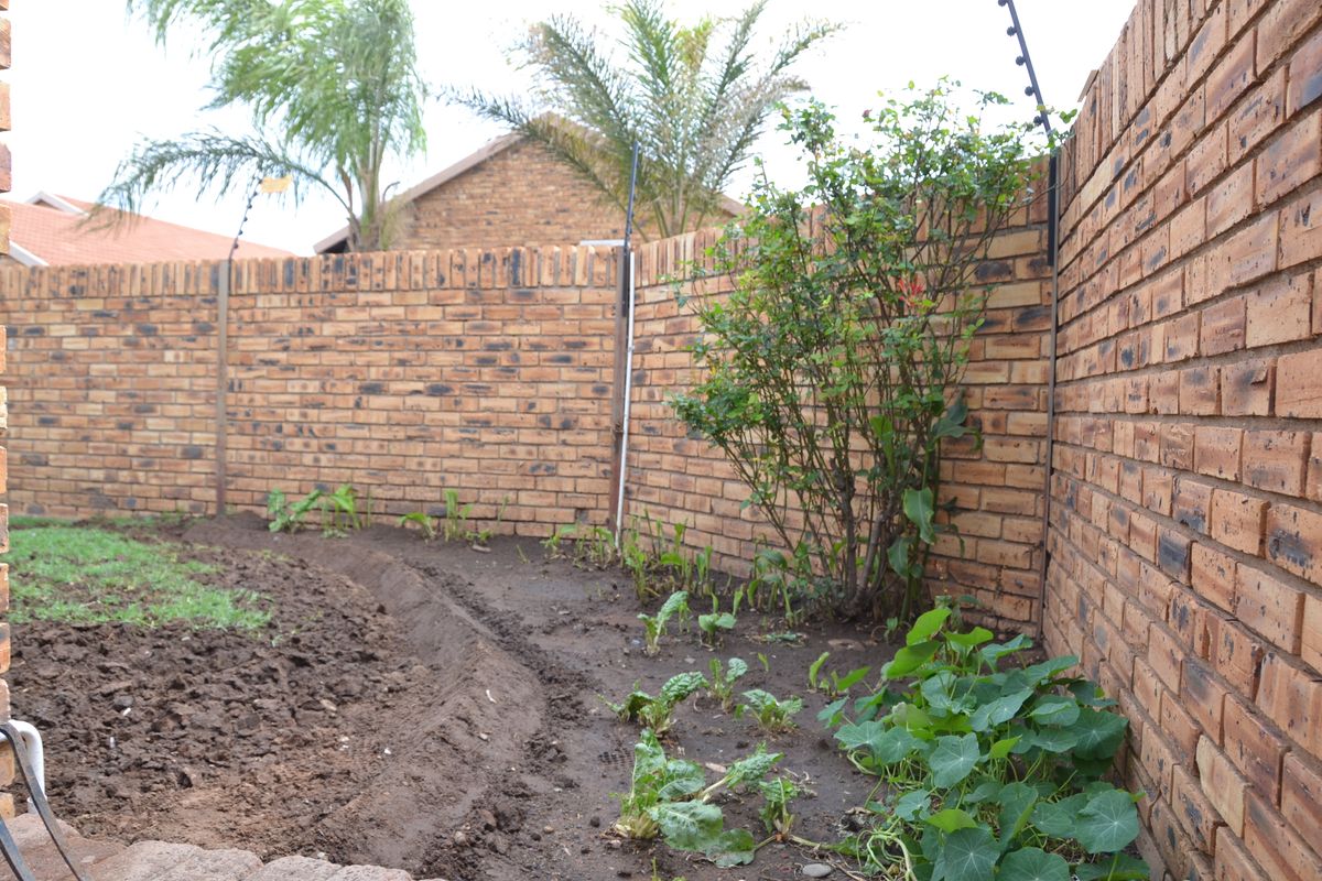 A private rear garden area featuring a curved face brick boundary wall with integrated electric security fencing.