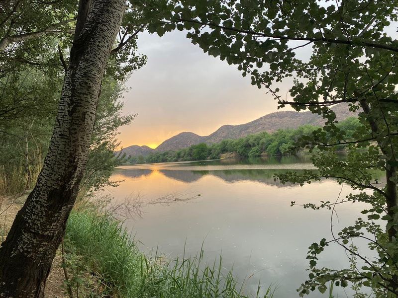 A scenic view of a tranquil river at sunset, framed by mature trees with rolling mountains in the background.