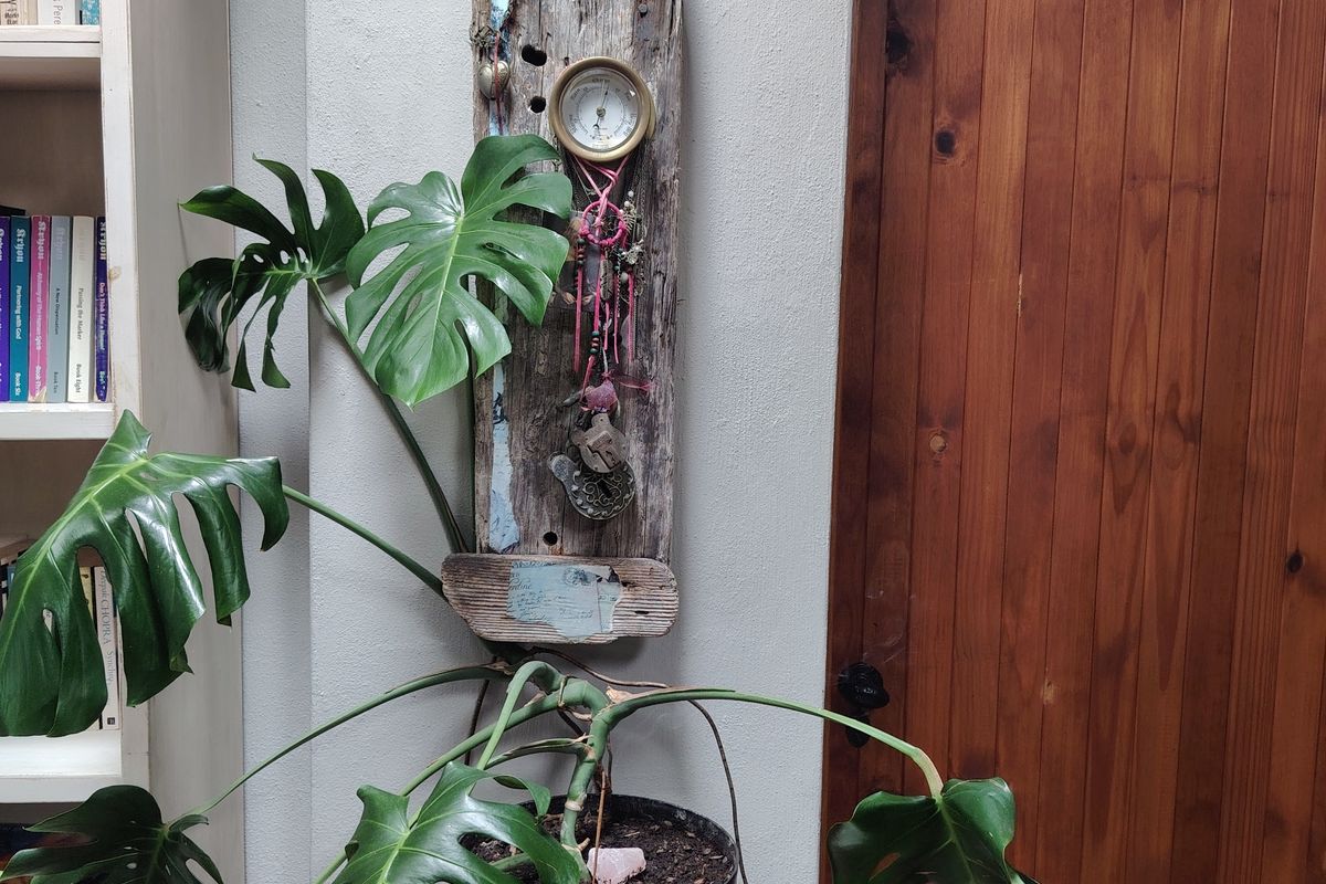 House Share - with a Real Surfer Vibe - Photo 5