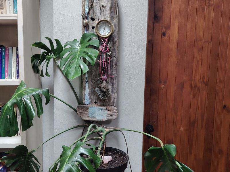 House Share - with a Real Surfer Vibe - Photo 5